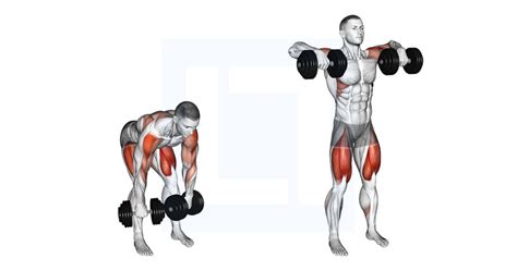 Dumbbell High Pull - Guide, Benefits, and Form