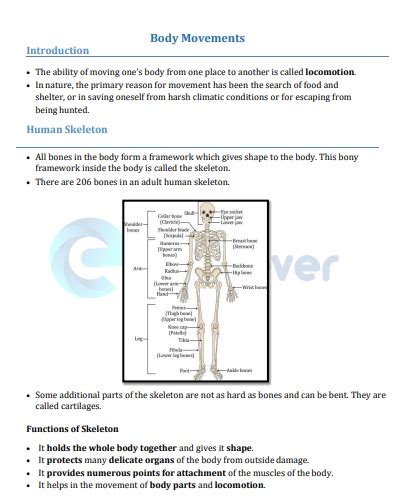 Class 6 Science Chapter 5 Body Movements