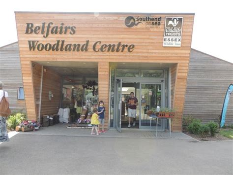 Entrance sign - Picture of Belfairs Wood, Park and Nature Reserve, Leigh-on Sea - TripAdvisor