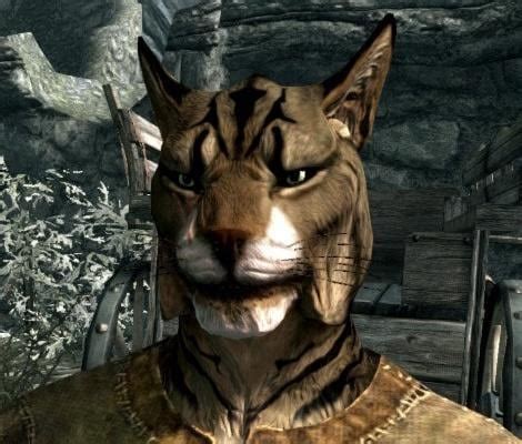 Ghostblade Characters in the game Elder Scrolls: V Skyrim : r/WLOP