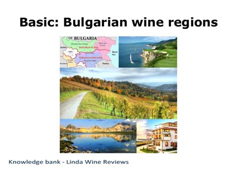 Basic: Bulgarian wine regions