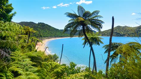 Beach of the Week: Abel Tasman National Park, New Zealand - Beach Tomato