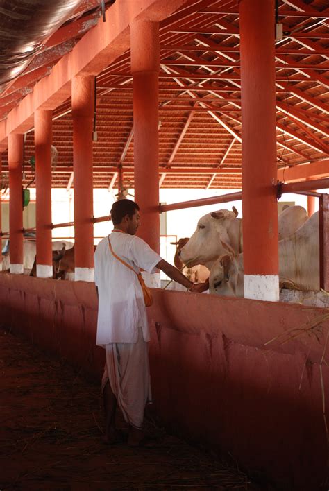 BIOME environmental solutions pvt ltd: Gaushala for ISKCON at Galtere ...