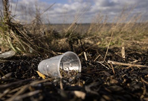 Experts sound the alarm on toxic chemicals ahead of plastic treaty negotiations | Grist