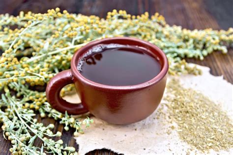 How to Make Wormwood Tea & Use at Home - 10 Amazing Uses