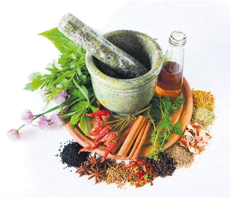 Turkey's phytotherapy center to offer herbal remedies | Daily Sabah