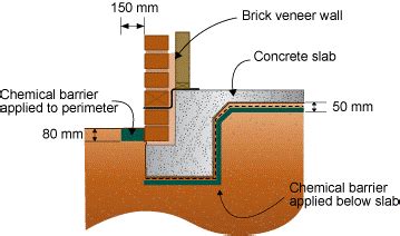 Termite Treatment and Management Systems, Central Coast NSW Australia