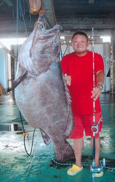 Potato Grouper World Record August 2011 | BDoutdoors