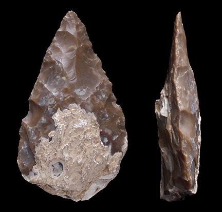 Acheulean Handaxe | Science Buzz