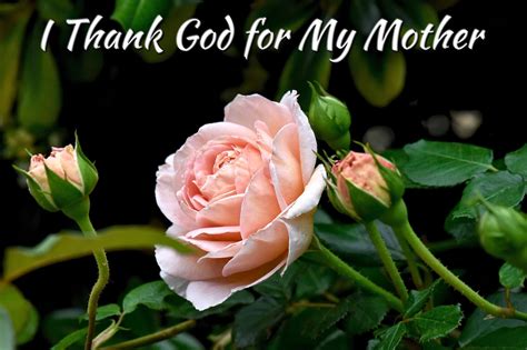 Salt and Light Blog : Top 10 Bible Verses for Mothers Day