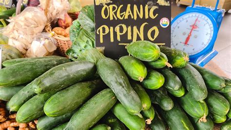 Sunday Market at SM City Lucena with Local Farmers - YouTube