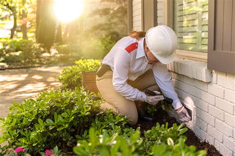 Orkin Termite Treatment, Pest Control & Exterminator Service | Orkin