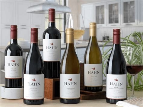 E&J Gallo Winery keeps shopping, purchases Hahn Family Wines - Global ...