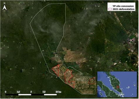 Deforestation From Palm Oil Falls to Three-Year Low — CSPO