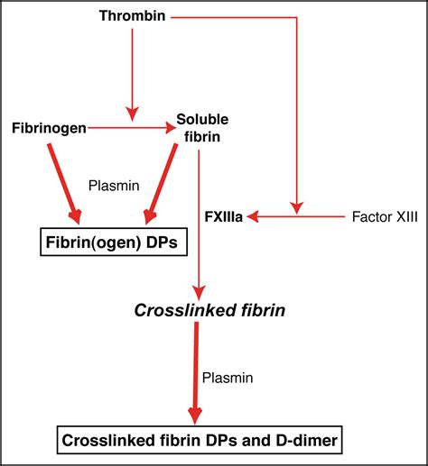 Action of plasmin on fibrinogen or fibrin | eClinpath