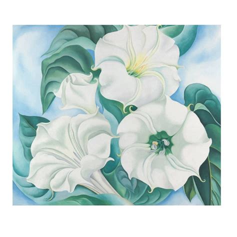 Georgia O'Keeffe 'Jimson Weed' Boxed Note Cards – The Museum & Garden ...