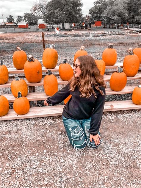 p u m p k i n p a t c h | Pumpkin patch photography, Pumpkin patch ...