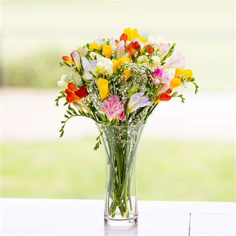 Scented Dreams Freesia Bouquet - Sendabunch