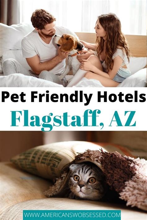 Pet Friendly Hotels in Flagstaff, Arizona | Pet friendly hotels, Dog friendly hotels, Pet friendly