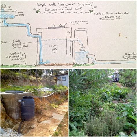 Building a biological DIY greywater system (with no reedbeds) in 2020 | Grey water system diy ...