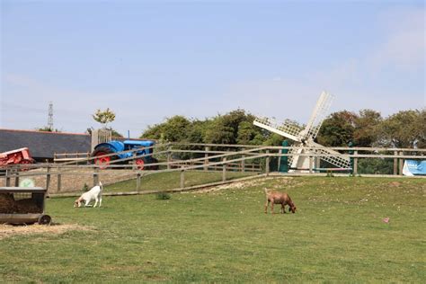 Our First Trip to Finkley Down Farm - Andover, Hampshire