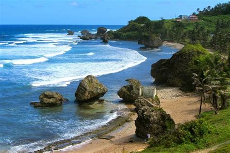 Bathsheba Beach - 2021 What to Know Before You Go (with Photos) - Tripadvisor