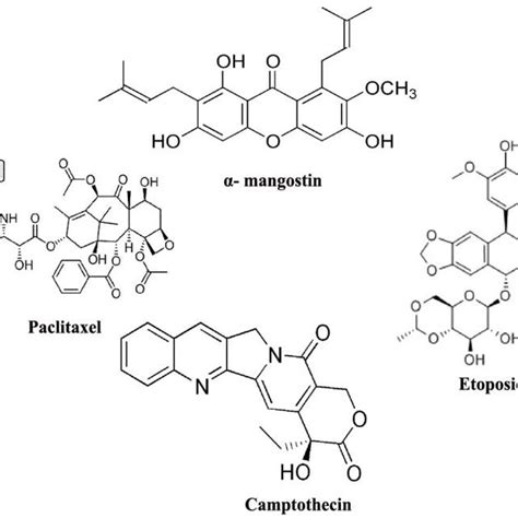 Some of the structures from xanthones which may act as promising ...