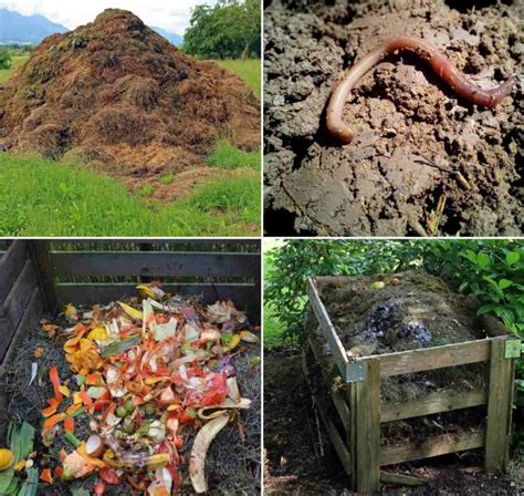 What is Compost, Types of Compost, Compost Methods | Agri Farming