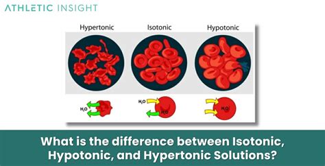 Isotonic Solution: Definition, How it Works, Examples, and Benefits ...