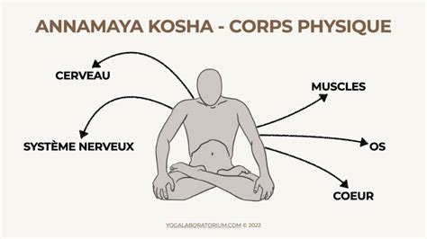 Les 5 Kosha - enveloppes du corps - Yoga Laboratorium