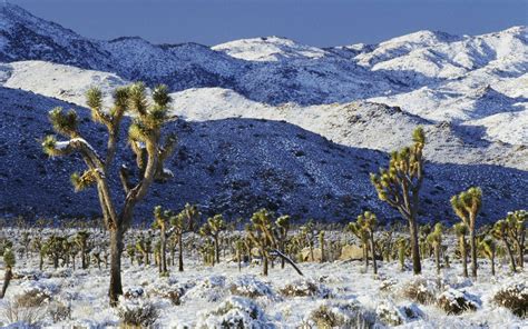 Snow-covered desert wallpapers and images - wallpapers, pictures, photos