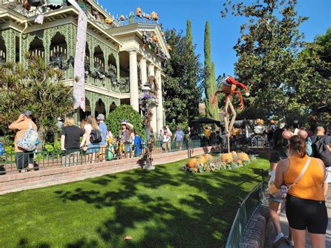 Disneyland's Haunted Mansion Holiday Overlay Extended by 3 Weeks - WDW News Today