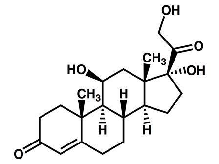 Glucocorticoid - wikidoc