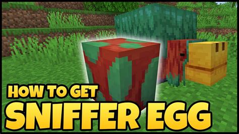 How To Get SNIFFER EGG In MINECRAFT - YouTube