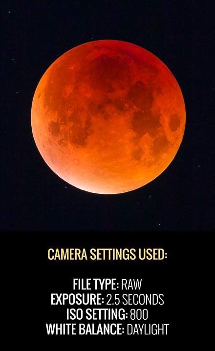 How To Photograph the Total Lunar Eclipse | Tips, Settings, Examples | Photography camera, Dslr ...