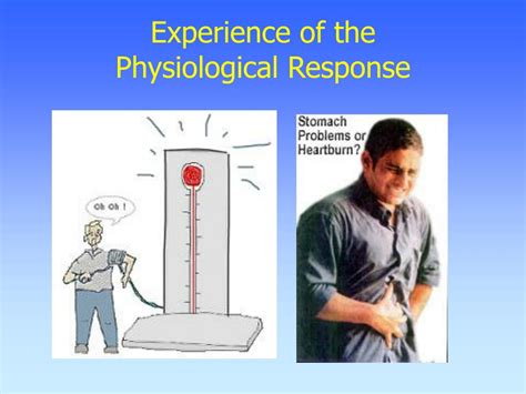 PPT - Stress PowerPoint Presentation - ID:563404