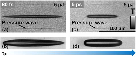 Bubble cavitation in water. Snapshots of initial stages in bubble... | Download Scientific Diagram