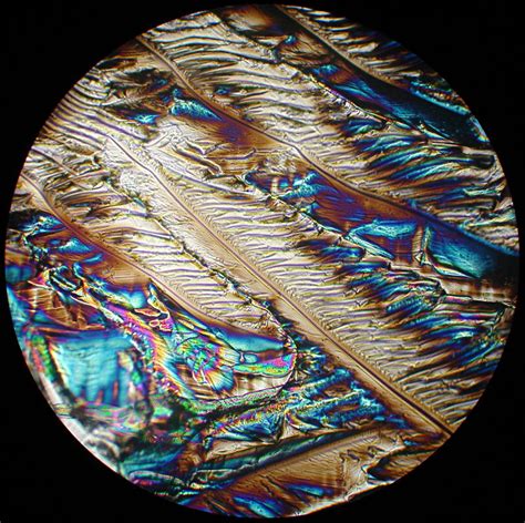 Magnesium Sulfate Crystals on the March - Cloudy Days & Microscopes - Cloudy Nights