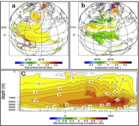 Long-term impact of Amazon river runoff on northern hemispheric climate | Scientific Reports