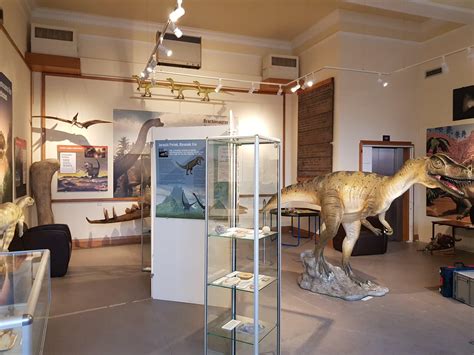 Dumfries Museum | Where to go with Kids