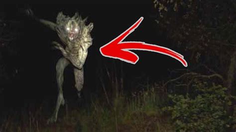 Top 5 REAL Scary Cryptid Encounters - YouTube