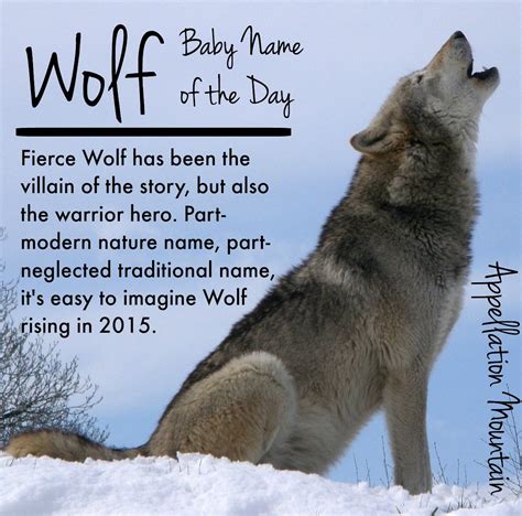 Wolf: Baby Name of the Day - Appellation Mountain