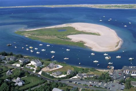 5 Best Things To Do In Chatham Islands In 2020 (Travel Now)