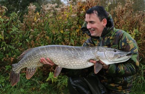 Coarse Fishing - My Quest For A Big Pike - By Alan Stagg - Gardner Tackle