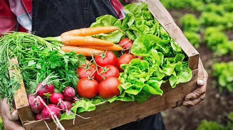 Agricultura orgânica: o que é, quais suas vantagens e o cenário brasileiro