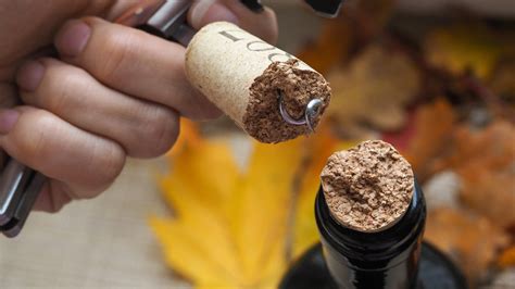 How To Power Through The Tragedy When A Wine Cork Breaks