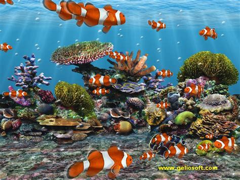 Best Fish Live Wallpapers Android Live Wallpaper Download - School Of ...