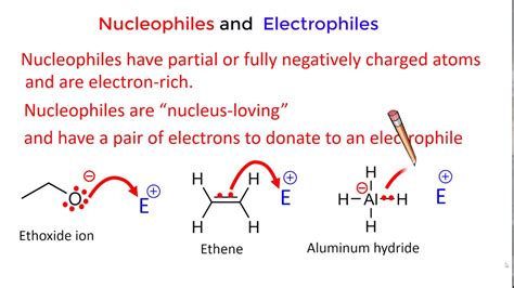 Nucleophiles and Electrophiles - YouTube