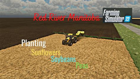 FS22 Red River Manitoba Planting 1300ac With 4 Tractors Running On ...