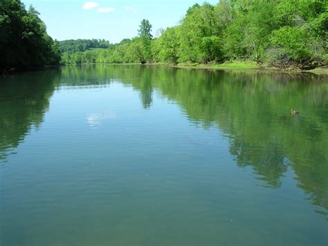 Holston River - MIDDLE TENNESSEE FLY FISHERS